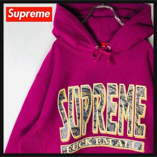 シュプリーム(Supreme)の【稀少カラー】シュプリーム ペイズリーロゴ デカロゴ パーカー Lサイズ(パーカー)