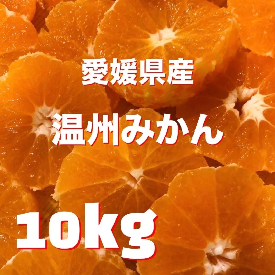 愛媛の温州みかん 10kg 混合サイズ 食品/飲料/酒の食品(フルーツ)の商品写真