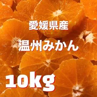 愛媛の温州みかん 10kg 混合サイズ(フルーツ)
