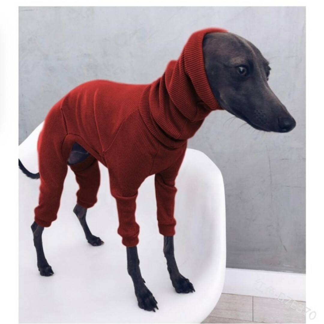 新品 犬服 2色セットイタリアングレートハウンドイタグレ 首元あたたか その他のペット用品(犬)の商品写真