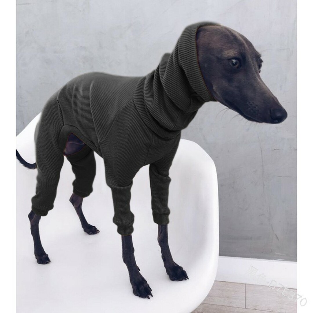 新品 犬服 2色セットイタリアングレートハウンドイタグレ 首元あたたか その他のペット用品(犬)の商品写真