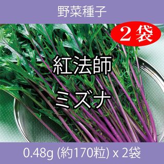 野菜種子 TVA03 紅法師ミズナ 0.48g (約170粒) x 2袋(野菜)