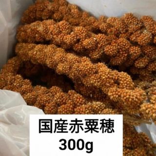 みかんさん専用　国産赤粟穂300g(鳥)