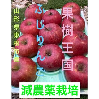 減農薬栽培山形産大人気ふじりんご 11玉パック詰め中大玉♪3キロ箱(フルーツ)