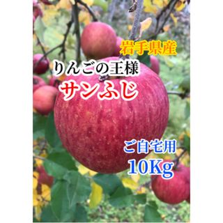 【数量限定】【家庭用】【送料込】サンふじ　10㎏ バラ詰め【農家直送】(フルーツ)