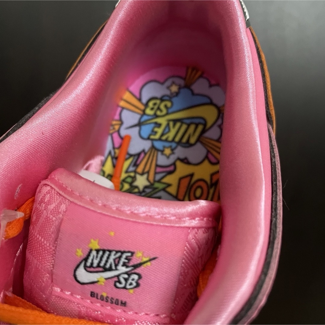 NIKE(ナイキ)のThe Powerpuff Girls Nike SB PS "Blossom” キッズ/ベビー/マタニティのキッズ靴/シューズ(15cm~)(スニーカー)の商品写真