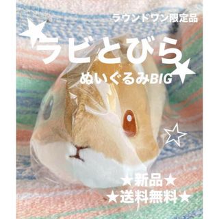 ★ 新品 ★ ラビとびら big ぬいぐるみ 限定  大賀一五 ラウンドワン(ぬいぐるみ)