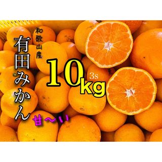 和歌山産有田みかん3s超小粒10キロ(フルーツ)