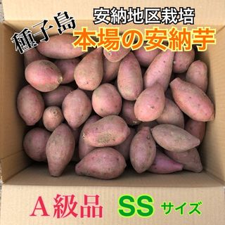 種子島　農家直送！安納地区の安納芋　SS ４キロ　A級品(野菜)