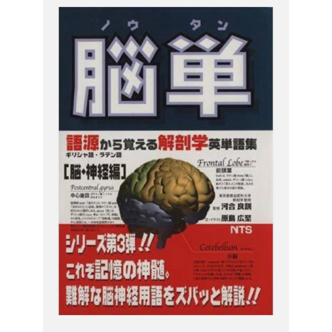 脳単 エンタメ/ホビーの本(健康/医学)の商品写真