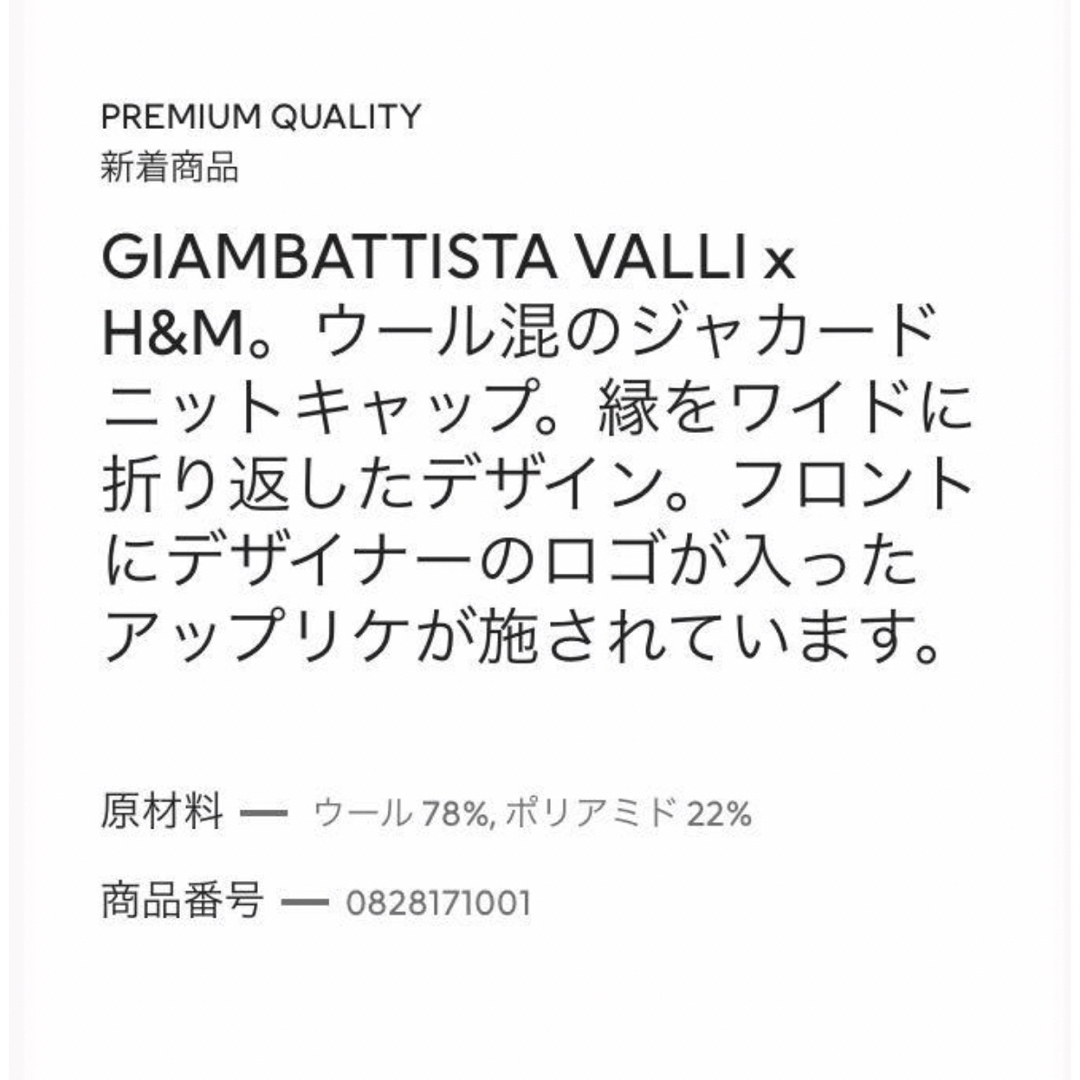 Giambattista Valli(ジャンバティスタヴァリ)のゴージャスニット帽 ジャンバティスタヴァリ　エイチアンドエム レディースの帽子(ニット帽/ビーニー)の商品写真