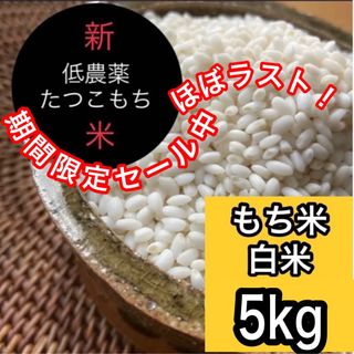 新米R5産◎低農薬 【たつこもち】もち米白米5kg(米/穀物)