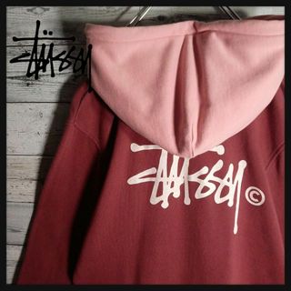 ステューシー(STUSSY)の【希少デザイン】ステューシー☆ビッグバックロゴ入りパーカー バイカラー 即完売(パーカー)