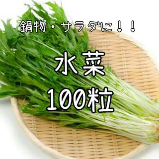 【水菜のタネ】100粒 種子 種 ミズナ みずな 野菜 鍋 サラダ 家庭菜園(野菜)