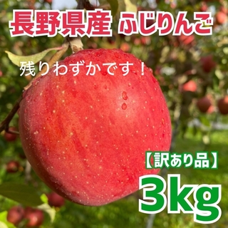 長野県産ふじ　りんご 訳あり　3kg(フルーツ)