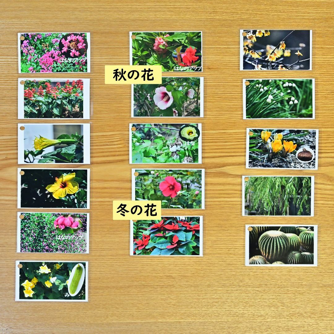 季節の花カード　Part２　　四季の学習に　小学校受験に キッズ/ベビー/マタニティのおもちゃ(知育玩具)の商品写真