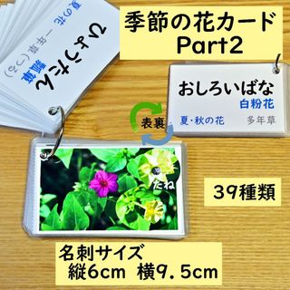 季節の花カード　Part２　　四季の学習に　小学校受験に(知育玩具)