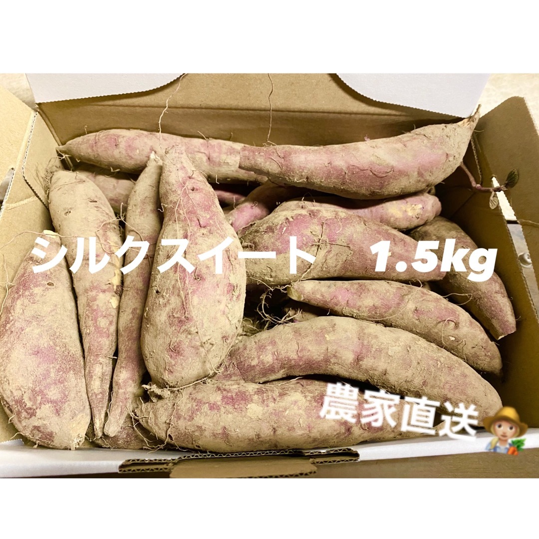 シルクスイート　さつまいも　1.5kg 小さいサイズ 食品/飲料/酒の食品(野菜)の商品写真