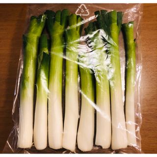 ネギ 長ネギ 白ネギ Lサイズ 8本  500g(野菜)