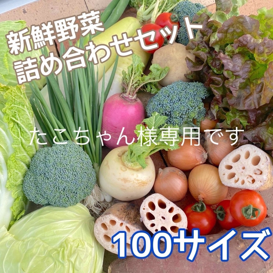 【新鮮！美味しい！】季節の採れたて野菜 詰め合わせセット 100サイズ 食品/飲料/酒の食品(野菜)の商品写真