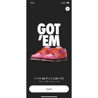 ナイキ(NIKE)のPowerpuff Girls Nike SB Dunk ブロッサム27.5cm(スニーカー)