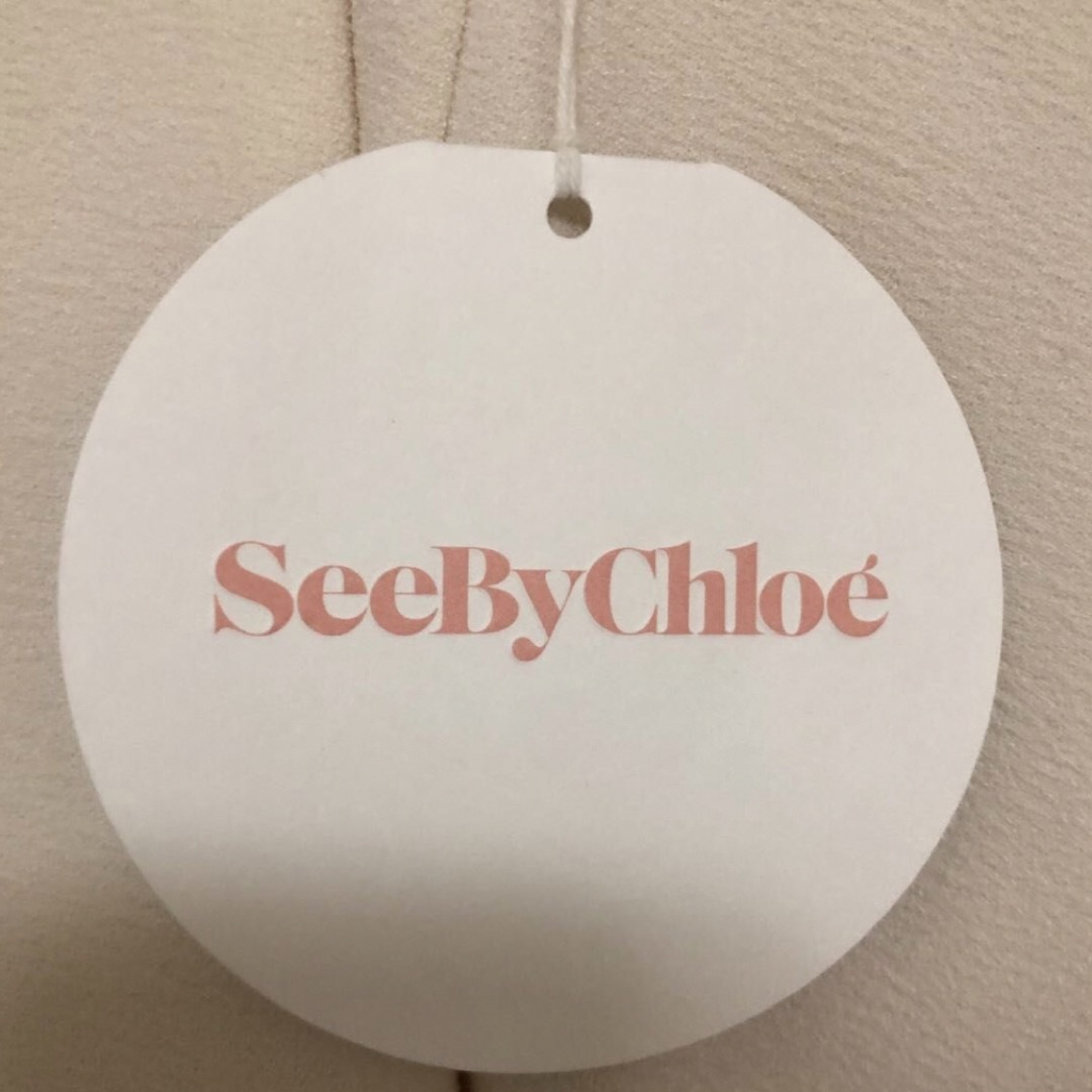 SEE BY CHLOE(シーバイクロエ)の【年末限定値下げ‼️】 See By Chloe スカート  レディースのスカート(ミニスカート)の商品写真