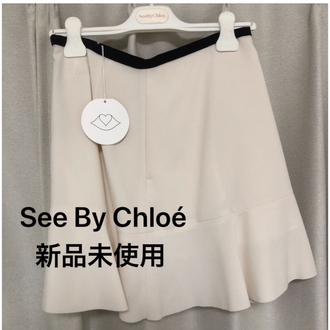 SEE BY CHLOE(シーバイクロエ)の【年末限定値下げ‼️】 See By Chloe スカート  レディースのスカート(ミニスカート)の商品写真