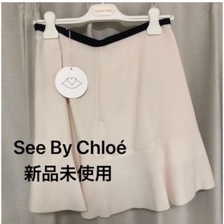 シーバイクロエ(SEE BY CHLOE)の【年末限定値下げ‼️】 See By Chloe スカート (ミニスカート)