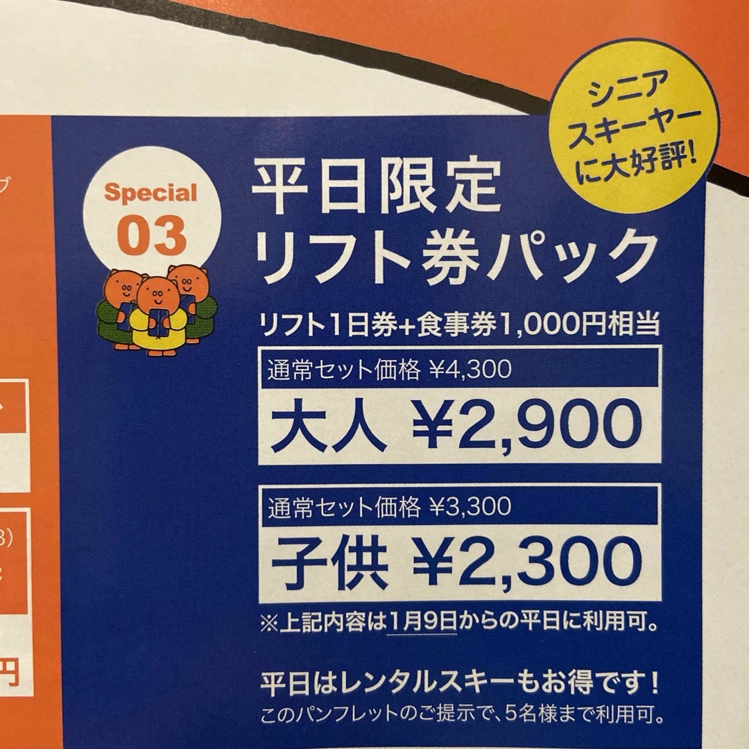 かたしな高原スキー場　リフト1日券+食事券　駐車場料金無料チケット チケットの施設利用券(スキー場)の商品写真