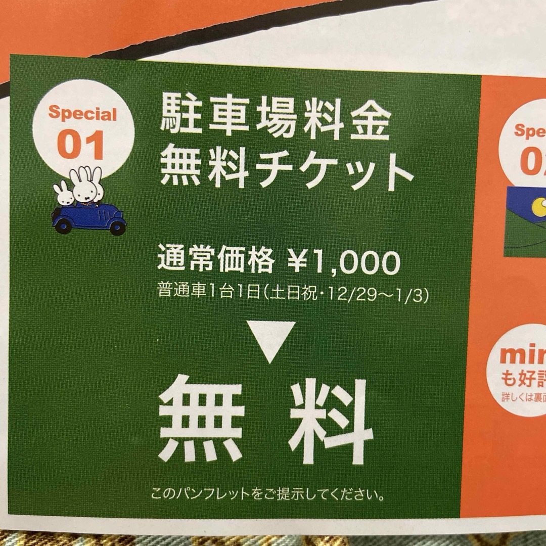 かたしな高原スキー場　リフト1日券+食事券　駐車場料金無料チケット チケットの施設利用券(スキー場)の商品写真