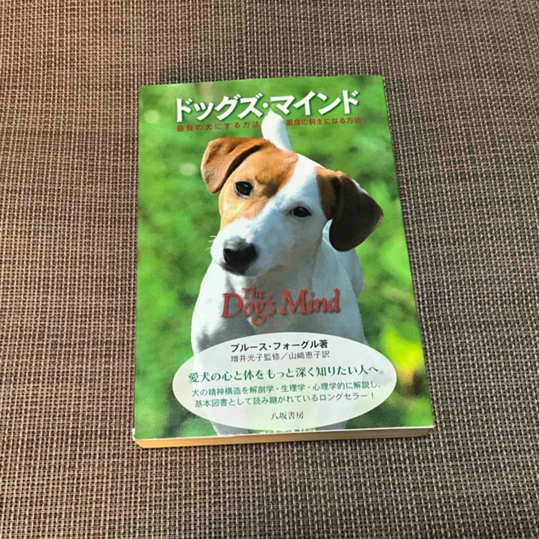 🐶【中古本】犬 本 ドッグズ・マインド　八坂書房 エンタメ/ホビーの本(趣味/スポーツ/実用)の商品写真