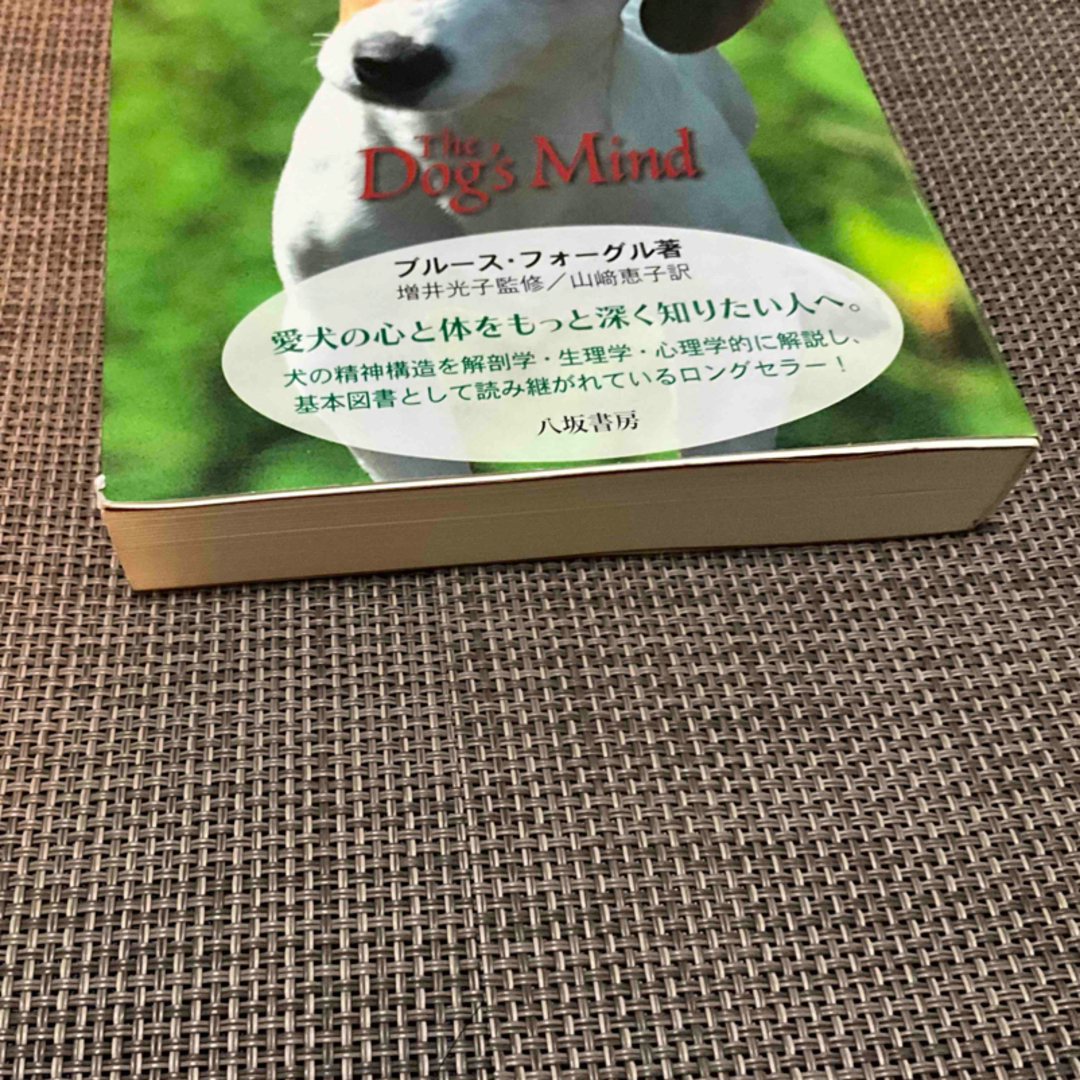 🐶【中古本】犬 本 ドッグズ・マインド　八坂書房 エンタメ/ホビーの本(趣味/スポーツ/実用)の商品写真