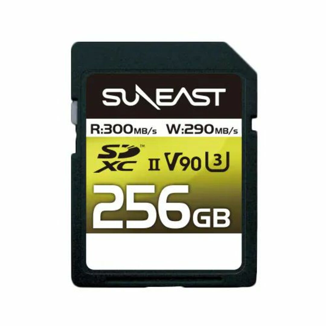 旭東エレクトロニクス　SE-SDU2256GA300 [256GB]