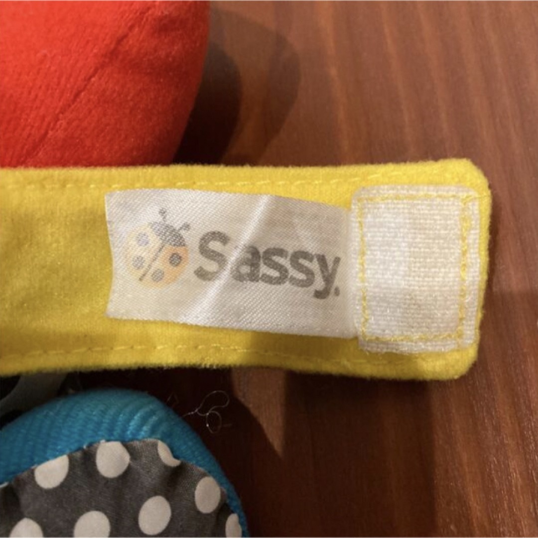 Sassy(サッシー)のSassy サッシー　ベビー用おもちゃ　赤ちゃん　玩具 キッズ/ベビー/マタニティのおもちゃ(ぬいぐるみ/人形)の商品写真