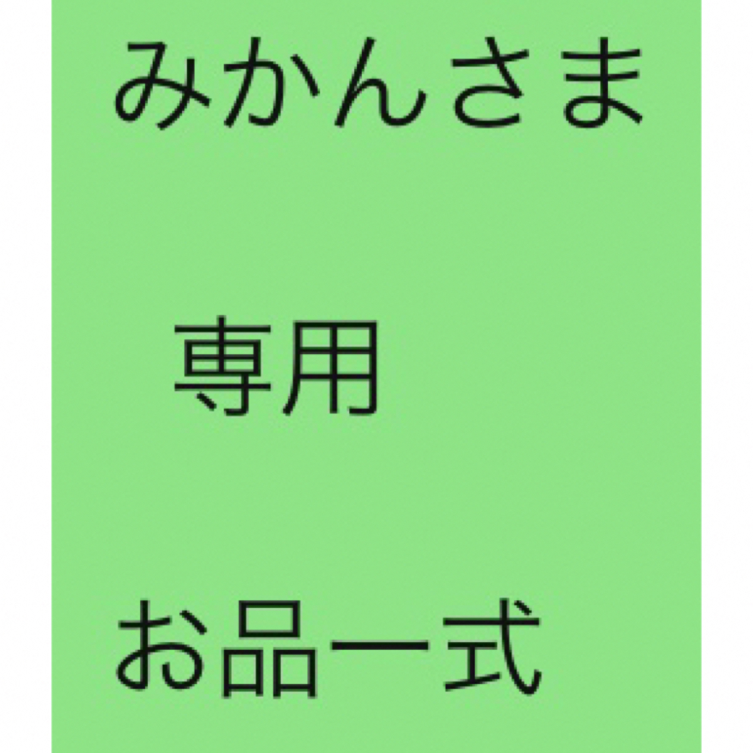 その他みかんさま    専用  お品一式