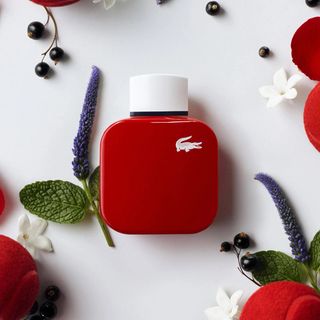 ラコステ(LACOSTE)のオーデ ラコステ 香水 L.12.12 プールエル フレンチ パナシェ 50ml(香水(女性用))