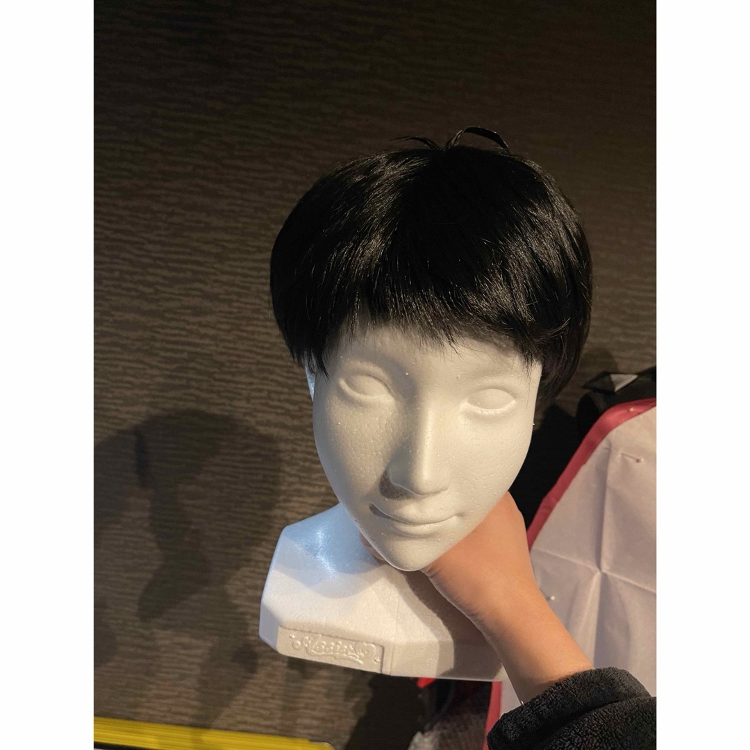 ✝ゲゲ郎 ウィッグ✝セット済 ゲゲゲの謎 - ウィッグ・エクステ ✝ゲゲ郎 ウィッグ✝セット済 ゲゲゲの謎 - ウィッグ・エクステ