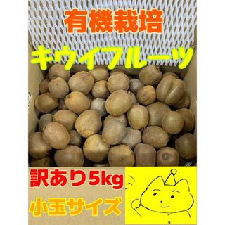 ☆和歌山県産キウイフルーツ☆小〜極小+中玉5kg【訳あり•未完熟】(フルーツ)