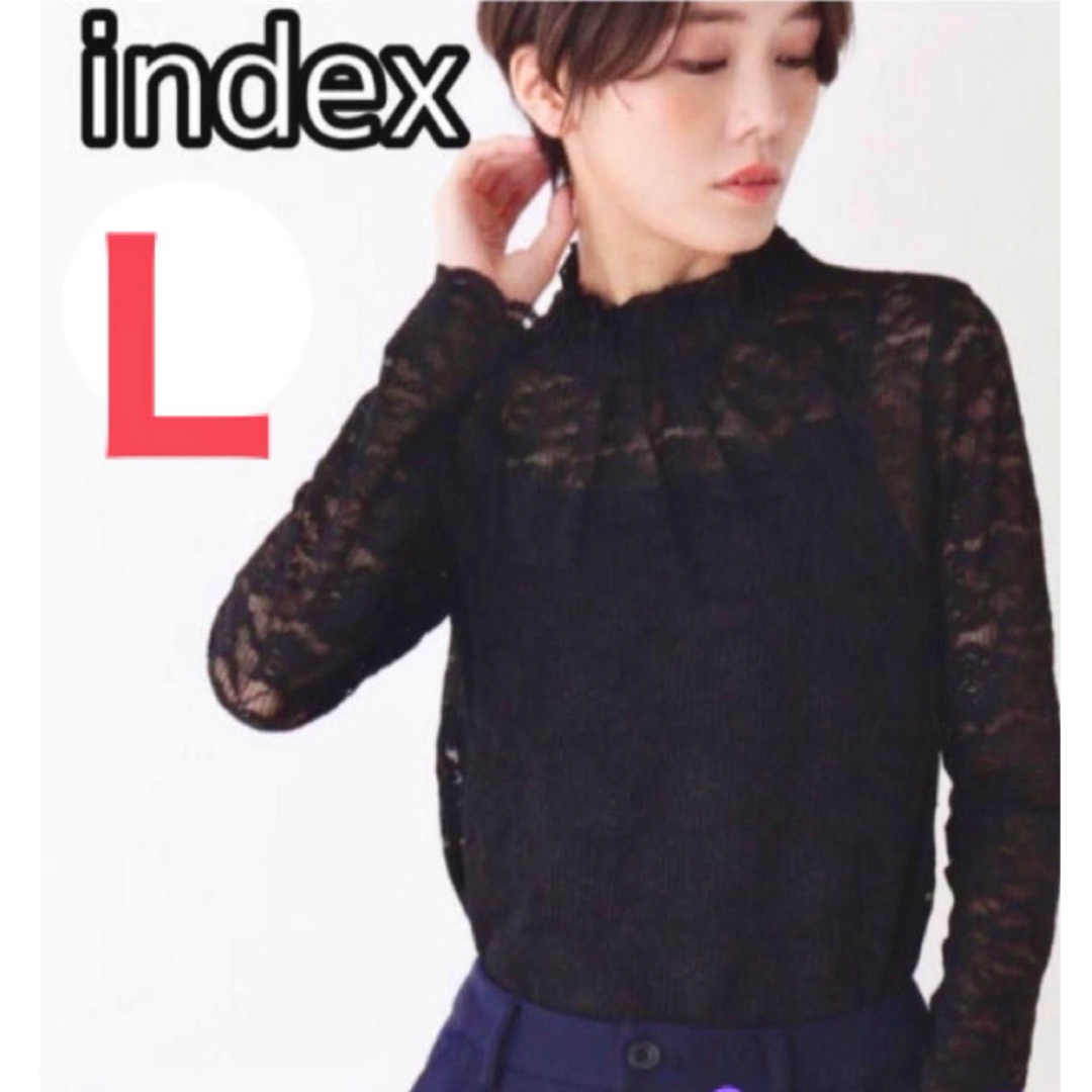 INDEX(インデックス)のindex 洗濯機洗いOKハイネック花柄レーストップス★インナー付き レディースのトップス(シャツ/ブラウス(長袖/七分))の商品写真