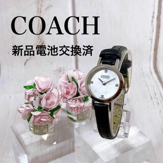 コーチ(COACH)の腕時計レディースCOACHクォーツ女性用かわいいウォッチプレゼント2298(腕時計)