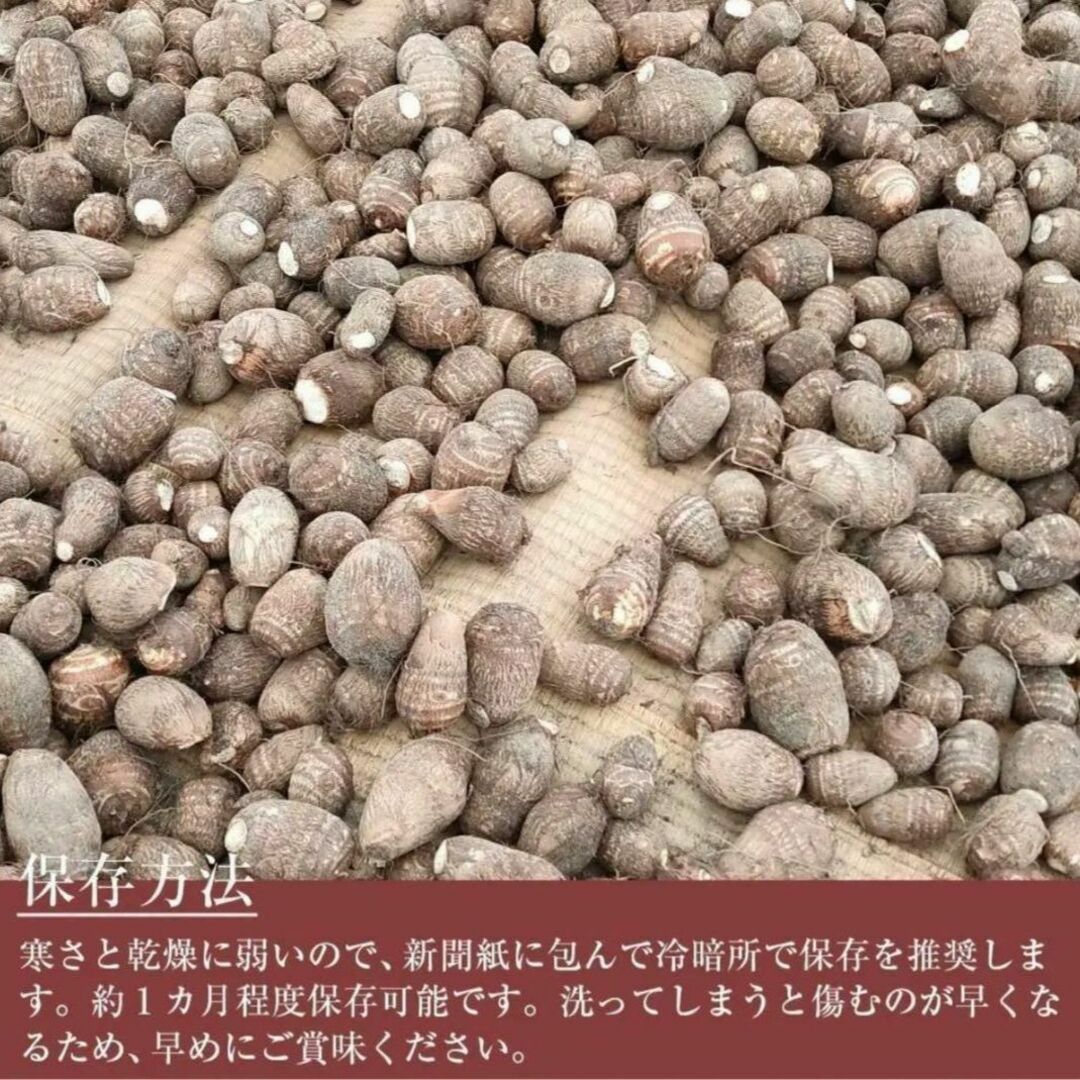 【鳥取県産】黄金里芋5kg 白ねぎ5kg 長芋(家庭用)10kg 合計20kg 食品/飲料/酒の食品(野菜)の商品写真