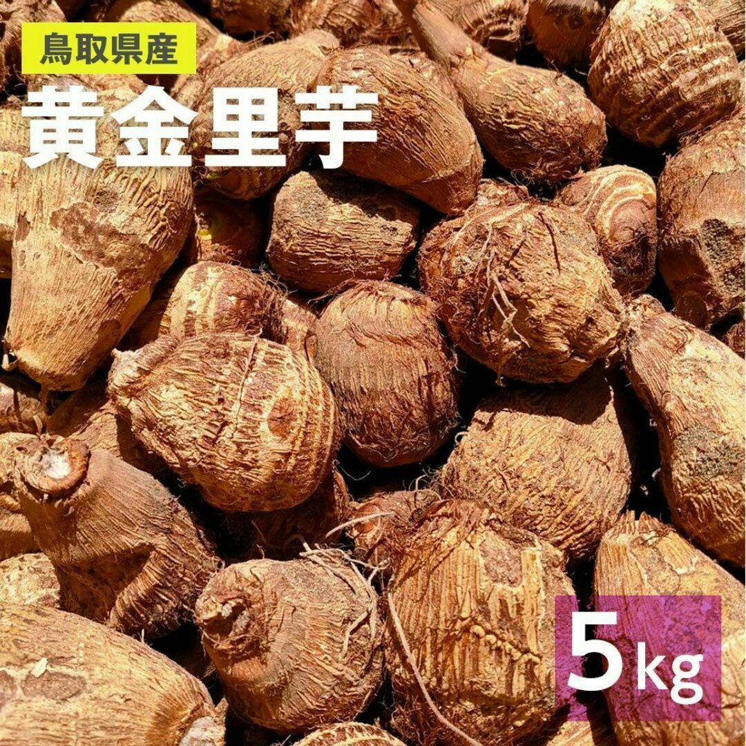 【鳥取県産】黄金里芋 大和芋 宅急便 5kg さといも サトイモ 山芋 食品/飲料/酒の食品(野菜)の商品写真