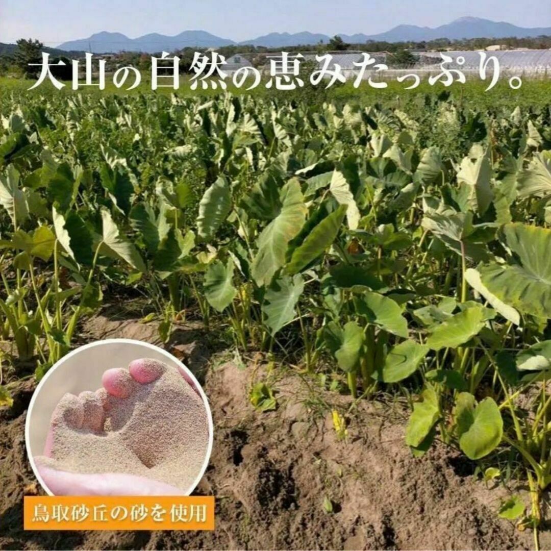 【鳥取県産】黄金里芋 大和芋 宅急便 5kg さといも サトイモ 山芋 食品/飲料/酒の食品(野菜)の商品写真