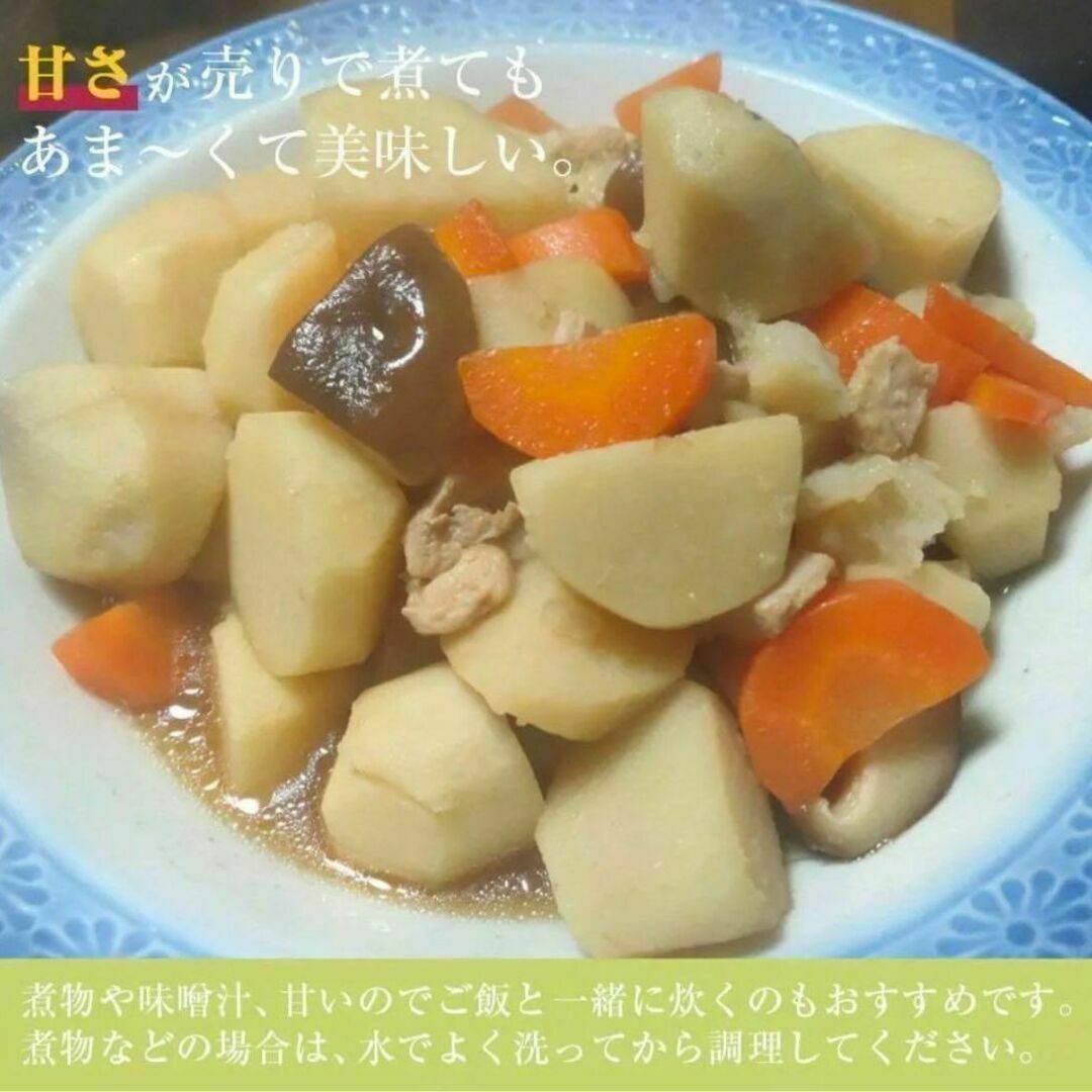 【鳥取県産】黄金里芋 大和芋 宅急便 5kg さといも サトイモ 山芋 食品/飲料/酒の食品(野菜)の商品写真