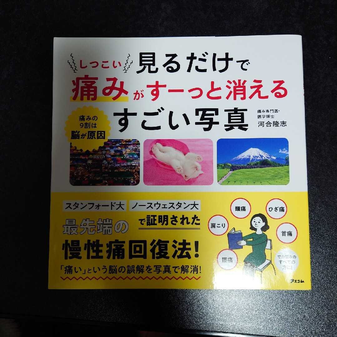 見るだけでしつこい痛みがすーっと消えるすごい写真 エンタメ/ホビーの本(健康/医学)の商品写真