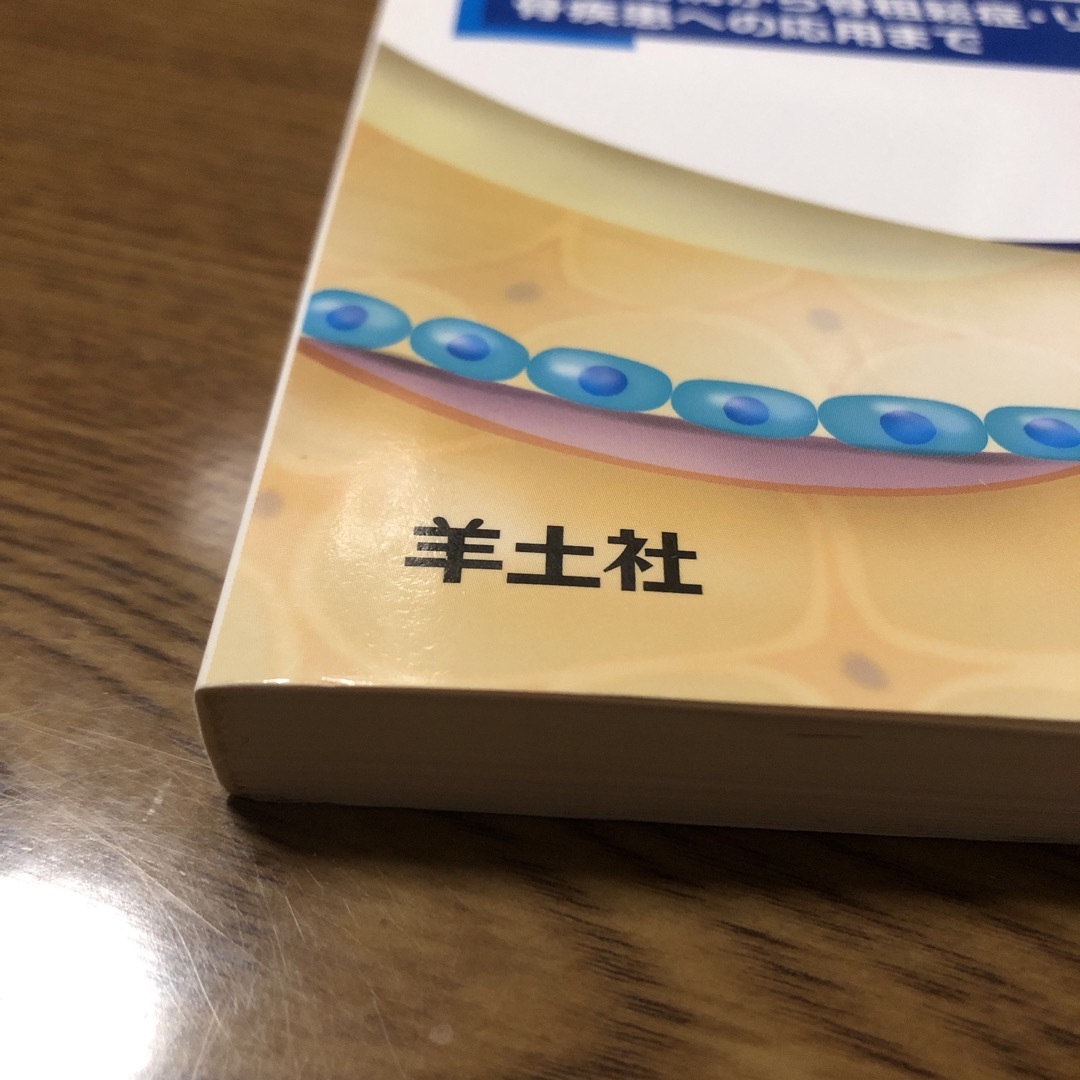 実験医学増刊　骨代謝　そのメカニズムと最新治療 エンタメ/ホビーの本(健康/医学)の商品写真