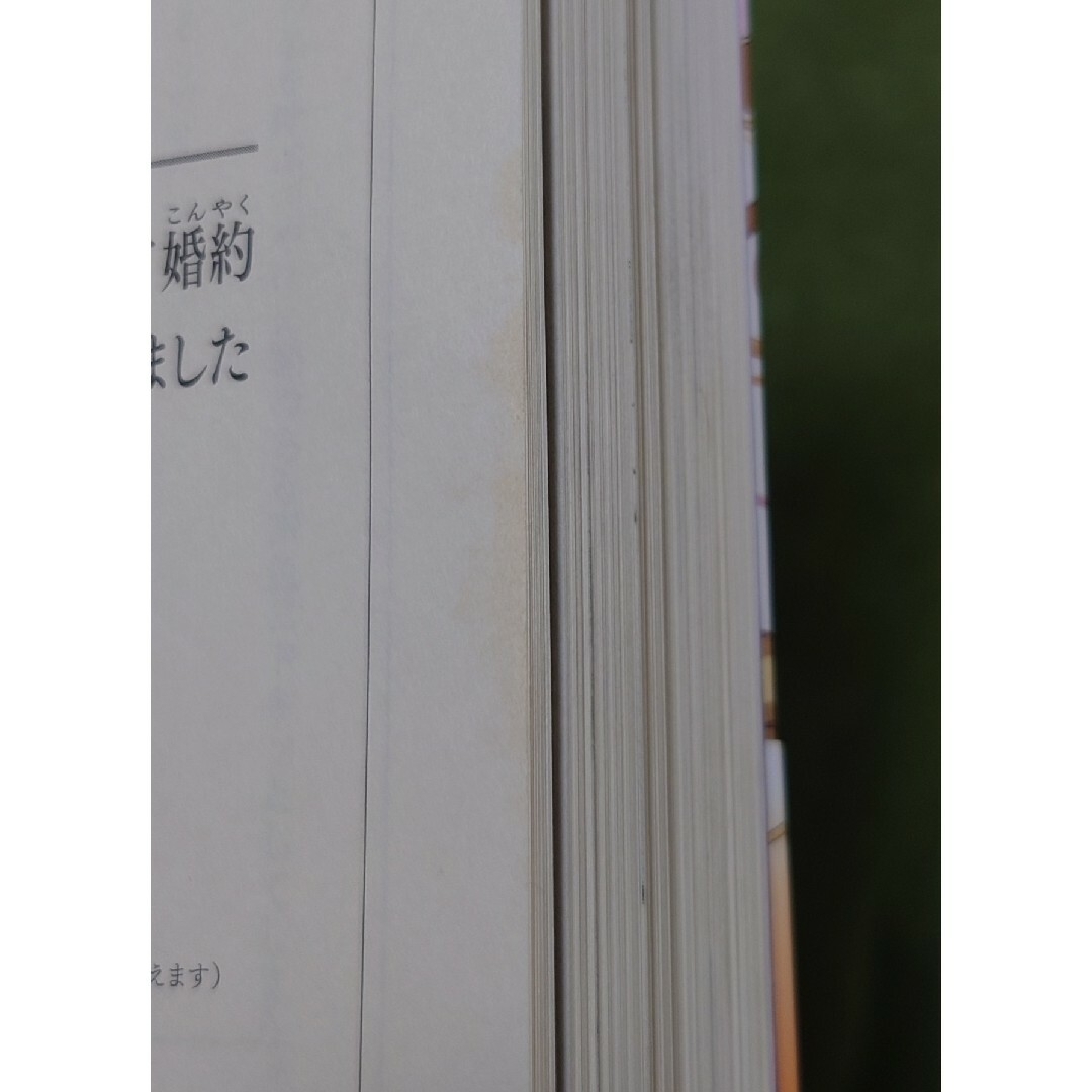 断罪されている悪役令嬢と入れ替わって婚約者たちをぶっ飛ばしたら、溺愛が待っていま エンタメ/ホビーの本(文学/小説)の商品写真