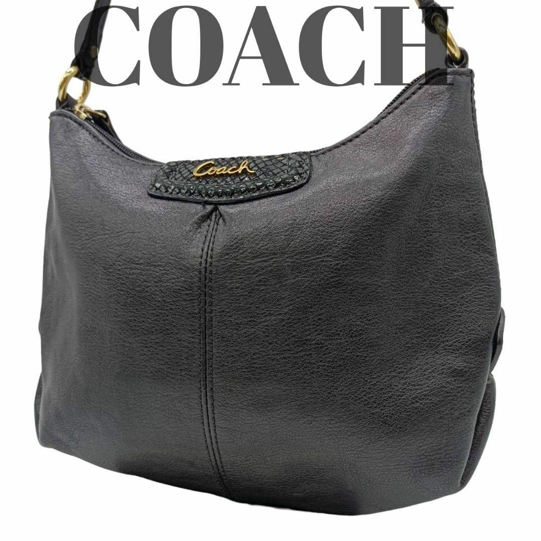 数々の賞を受賞 COACH コーチ ショルダーバッグ オールレザー 本革 黒