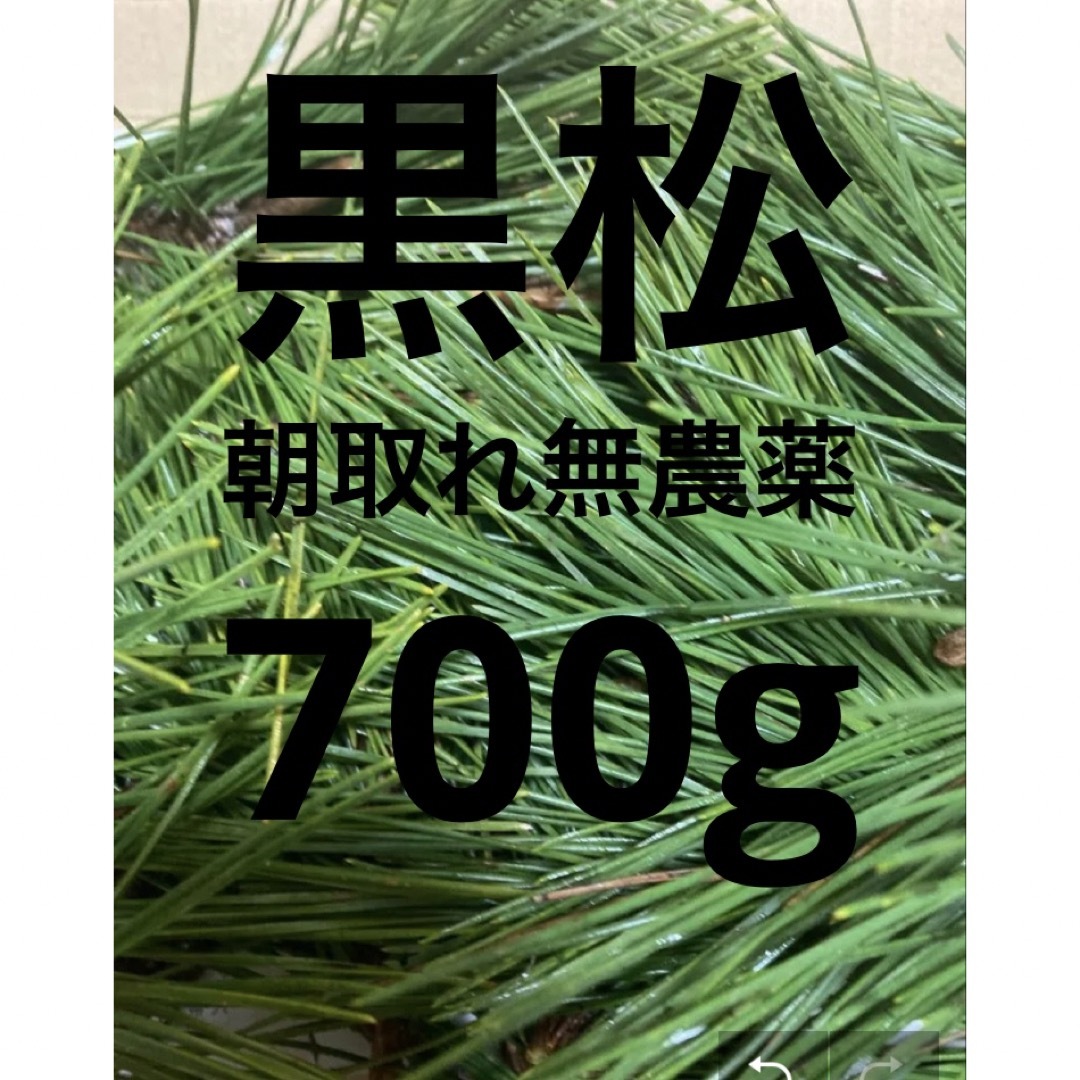 即購入可　即日発送　岡山県　黒松　枝付き松葉　生葉　無農薬　松の葉 食品/飲料/酒の食品(野菜)の商品写真