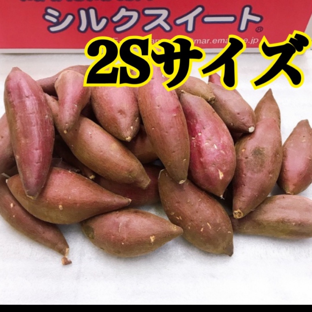 ☆蜜芋☆ 茨城県産　シルクスイート　2Sサイズ 食品/飲料/酒の食品(野菜)の商品写真